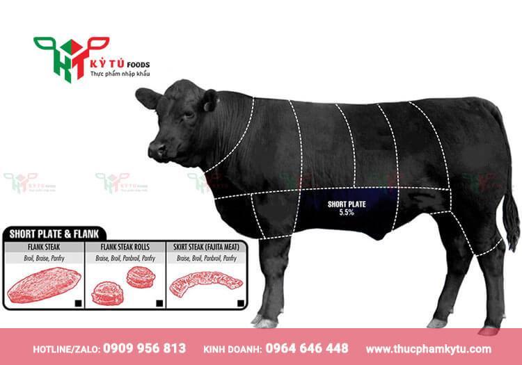 Biểu đồ vị trí thịt bò