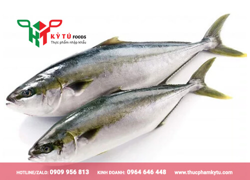 Cá Cam Nhật Nhập Khẩu