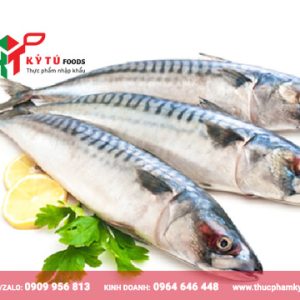 Cá Saba nhập khẩu giá sỉ