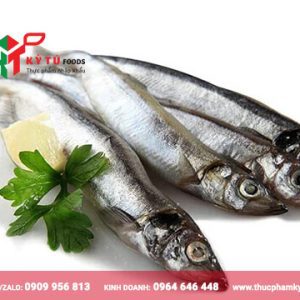 Cá trứng nhập khẩu giá sỉ