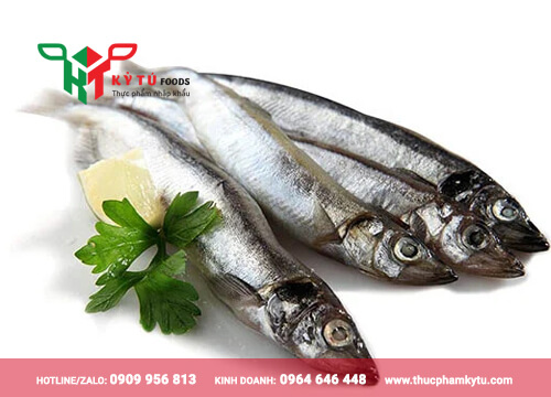 Cá Trứng Nhập Khẩu Giá Sỉ