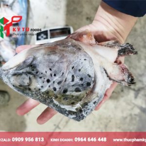 Đầu cá hồi NaUy đông lạnh nhập khẩu