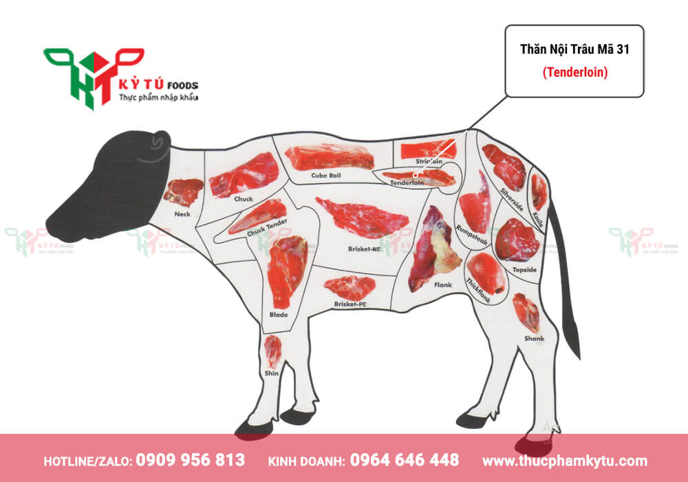 Biểu đồ thịt trâu