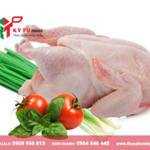 Gà dai nguyên con nhập khẩu