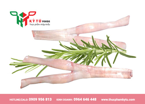 Gân Chữ Y Mã 09 Tendon