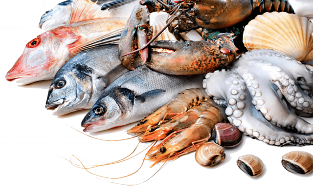 Hải sản nhập khẩu