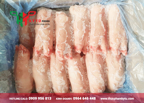 Móng Dựng Heo Trước