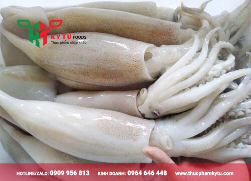 Mực Ống Nhập Khẩu