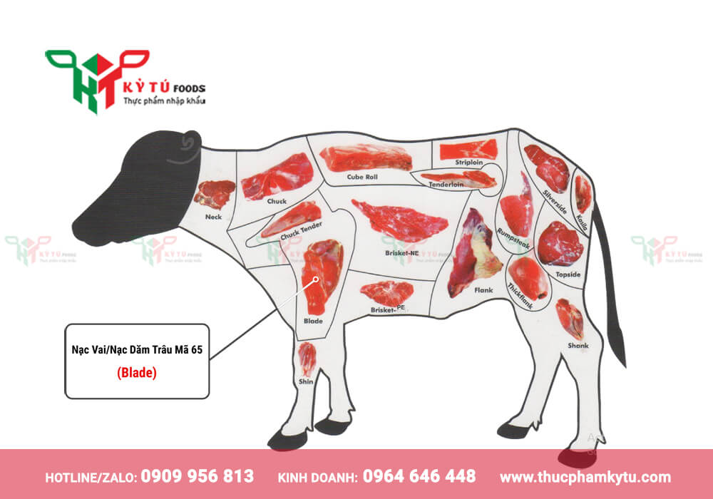 Vị Trí Nạc Vai Trâu