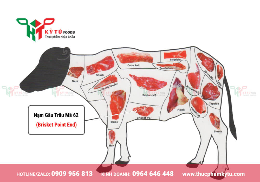 Vị trí nạm gầu trâu mã 62