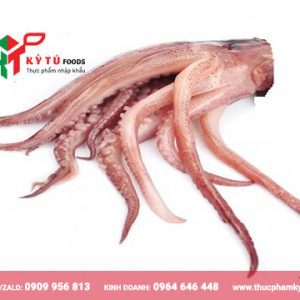 Râu mực đại dương đông lạnh