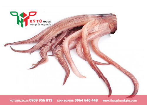 Râu Mực Đại Dương