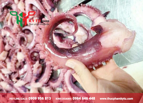 Râu Bạch Tuộc Khổng Lồ