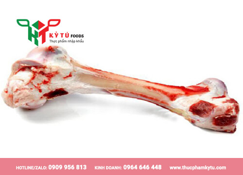 Xương Ống Bò Úc Leg Bone
