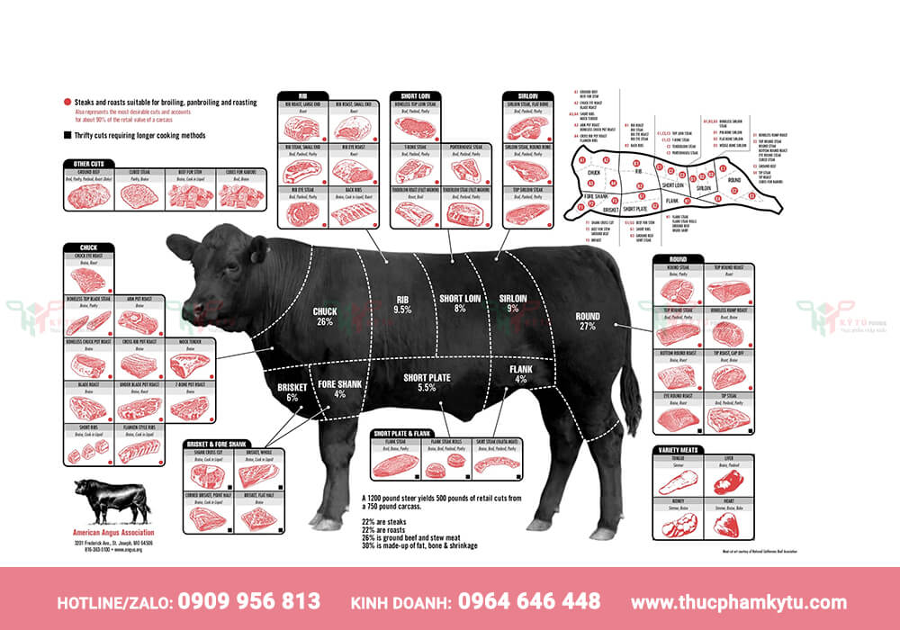 Biểu Đồ Thịt Bò