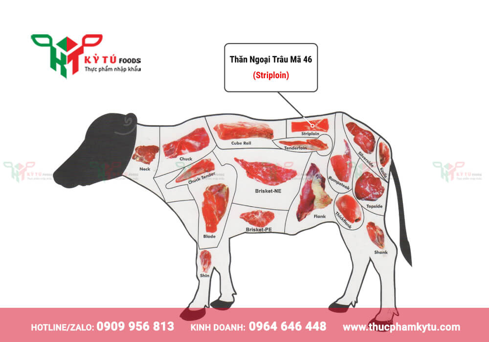 Vị trí Thăn ngoại trâu