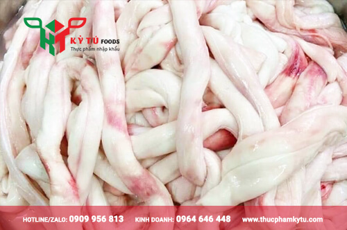 Tủy Trâu Spinal Cord